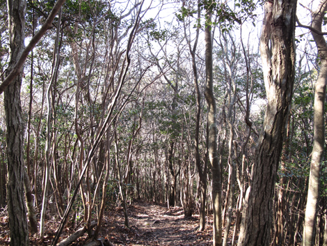 20140103hike (138)